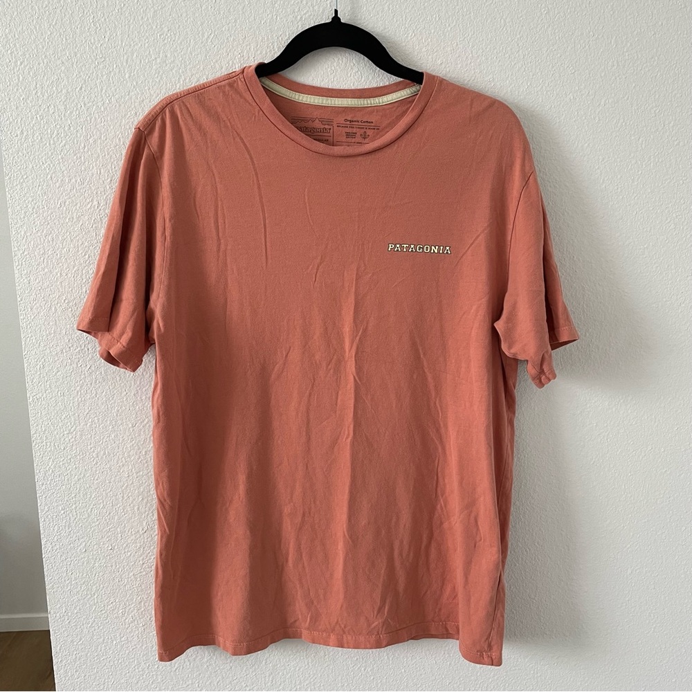 patagonia t shirt